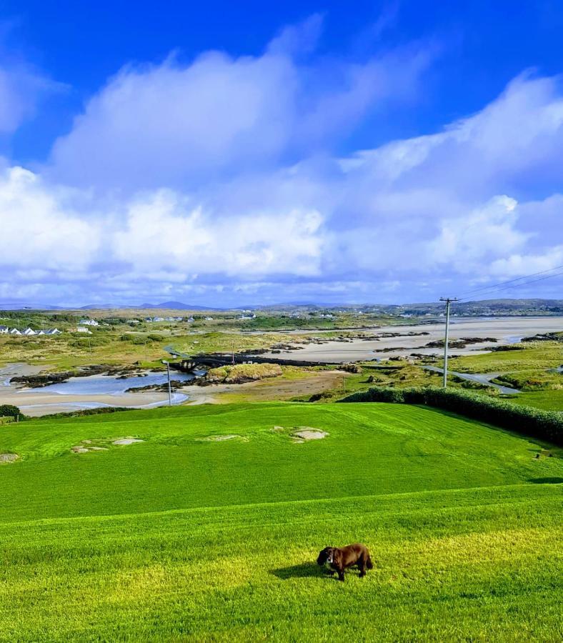 Tidal View Bed & Breakfast Kincasslagh Dış mekan fotoğraf